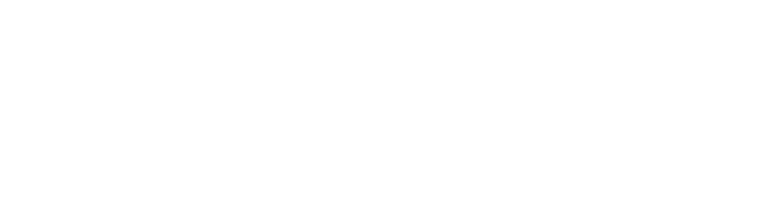 Romex