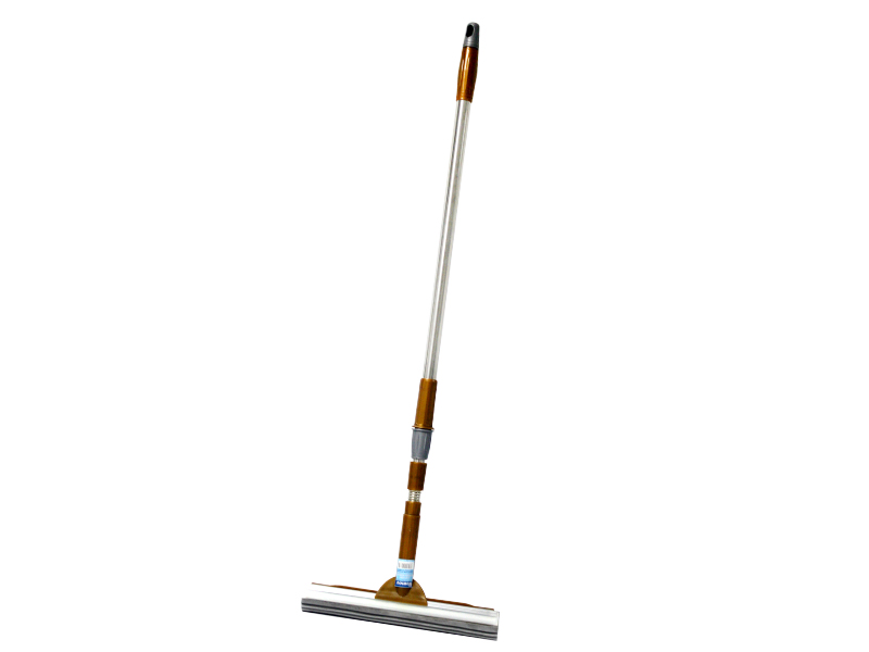 Romeo Window Cleaner Telescopic